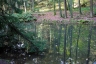Bild-025.jpg