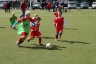 DSC00432.JPG